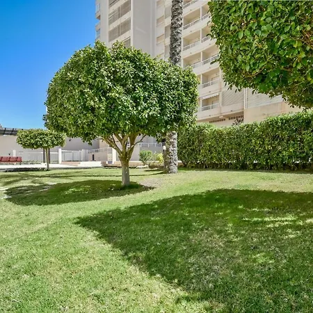 Homeincalpe Apolo Xvii 2-22-64 *