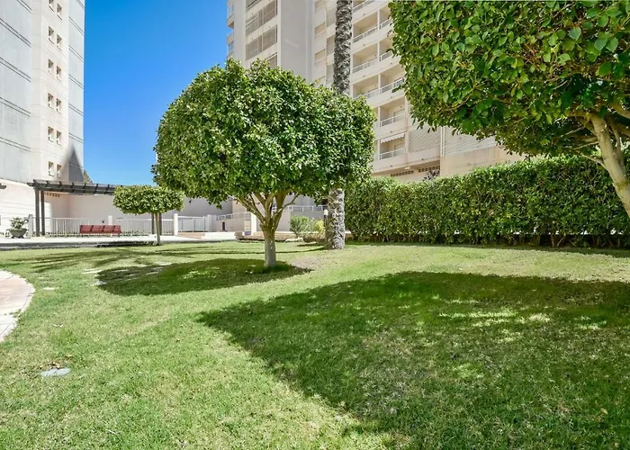 Homeincalpe Apolo Xvii 2-22-64 *